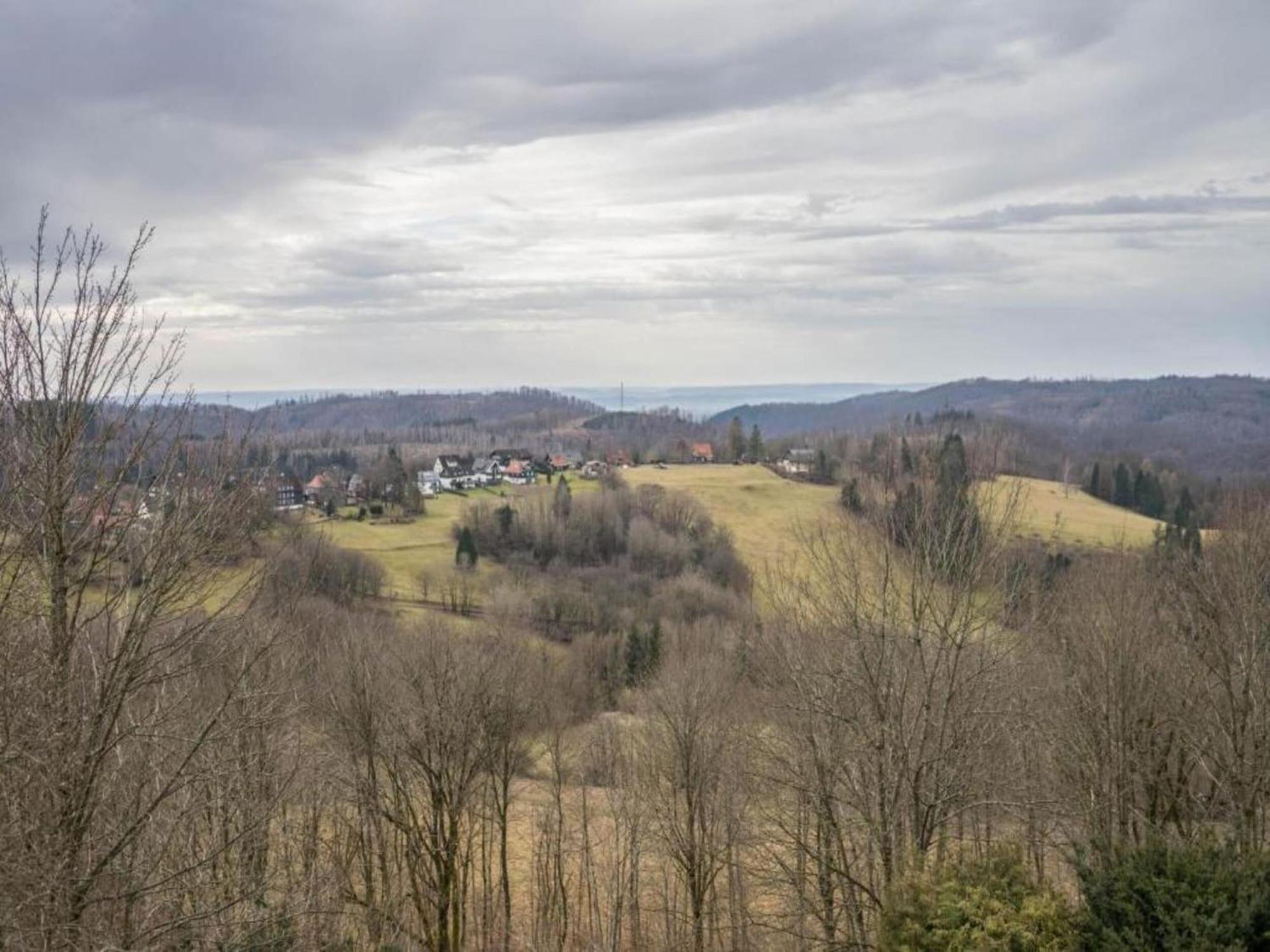 Cozy Apartment In Braunlage Near Forest Hohegeiß Exteriér fotografie