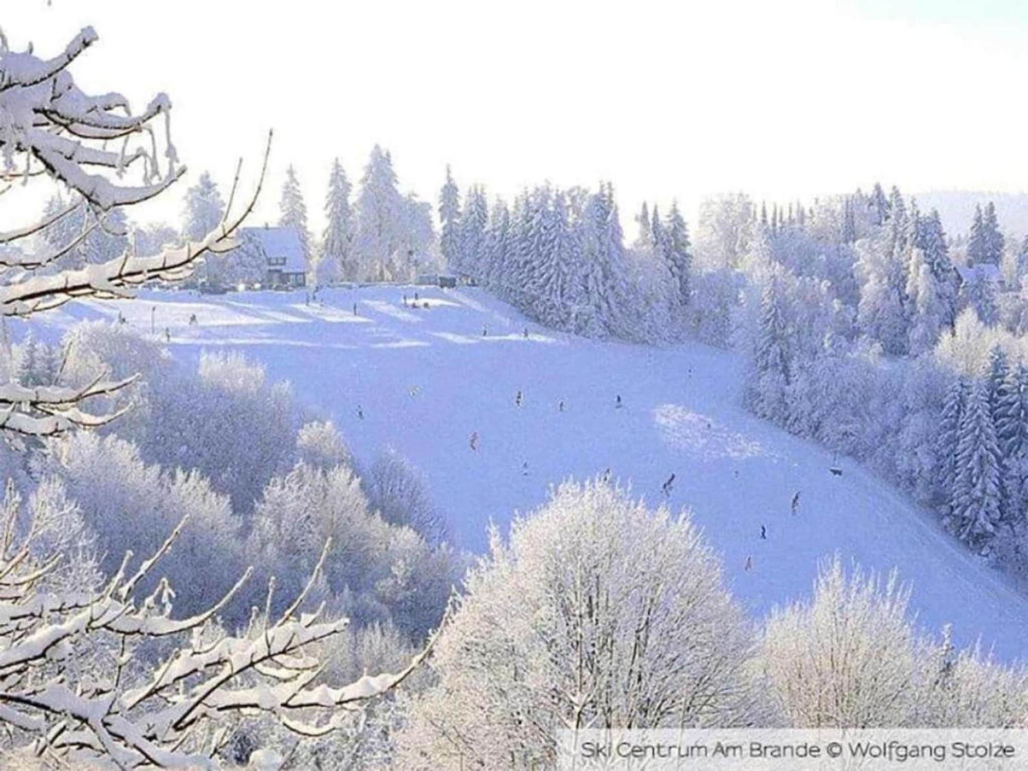 Cozy Apartment In Braunlage Near Forest Hohegeiß Exteriér fotografie
